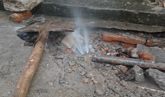 1658557236535457.jpg 74af4c43-8076-4440-b6c3-2db5fd9411ee.jpg