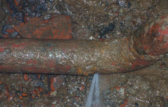 1658711613321405.jpg 3a18d8a8-d08d-4d30-b9d0-038e7508f3ef (1).jpg