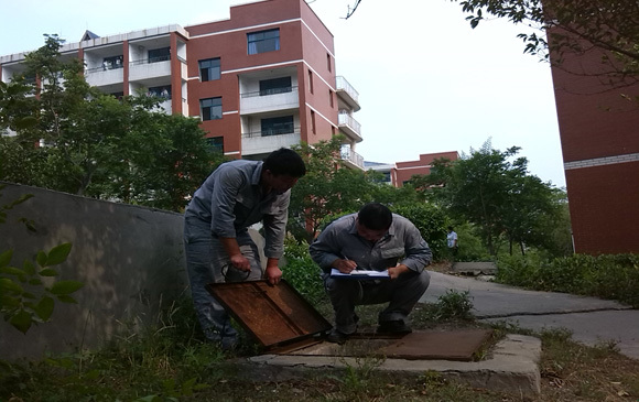 1658711740438583.jpg bae0c34b-793a-4a5c-ac02-629f4b4797dd.jpg